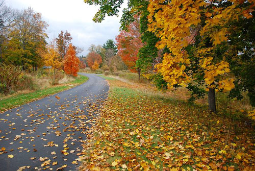 Hillsborough Nj Hillsborough Nj