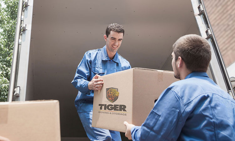 Professional Packing Service Professional Packing Service