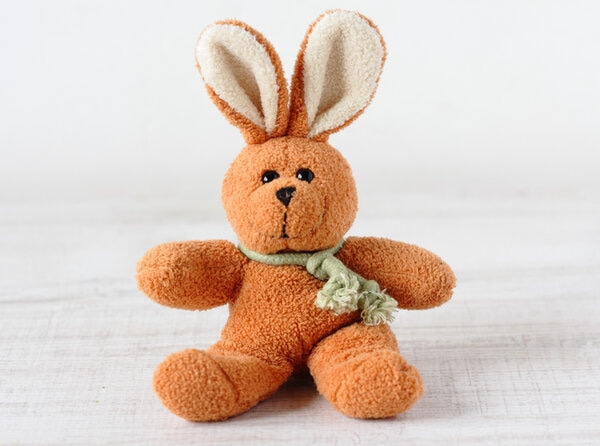 Old Rabbit Toy Old Rabbit Toy