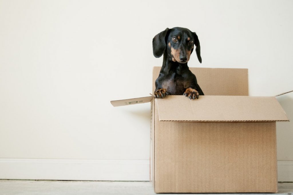 Moving To Colts Neck Nj We Can Help You Move Moving To Colts Neck Nj We Can Help You Move